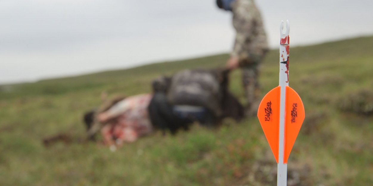 Steve Ecklund banner