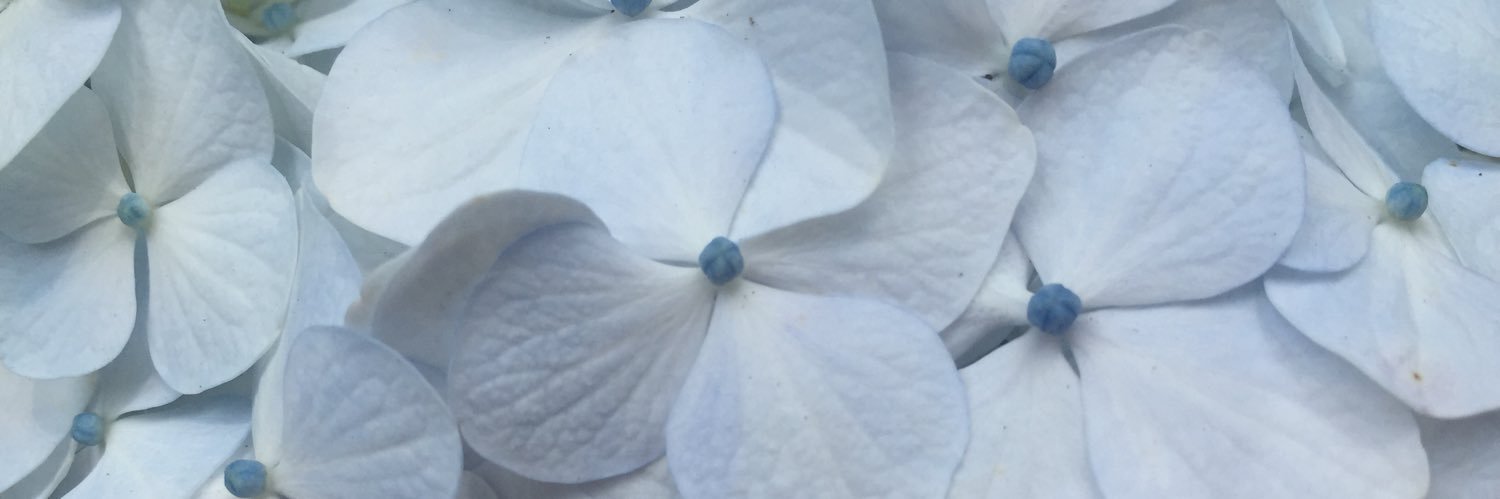 7730Hitomi's profile banner image