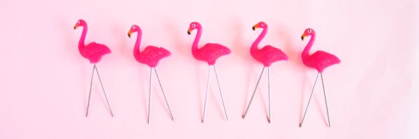 FlamingoSenpai's profile banner image