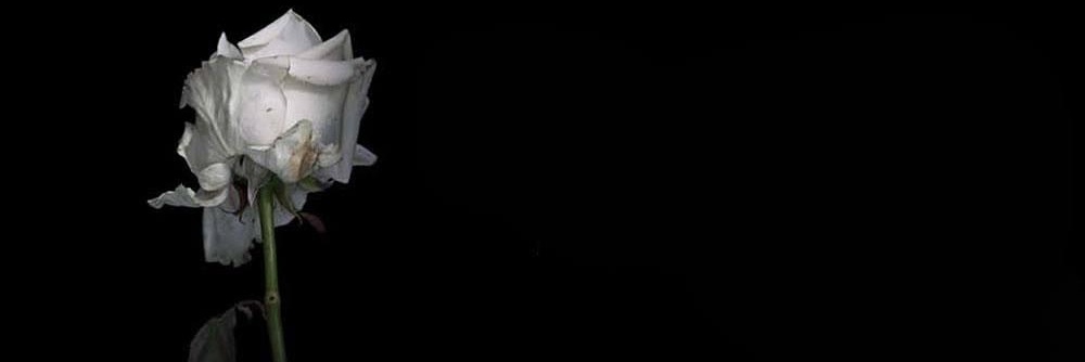 Nameless040183's profile banner image