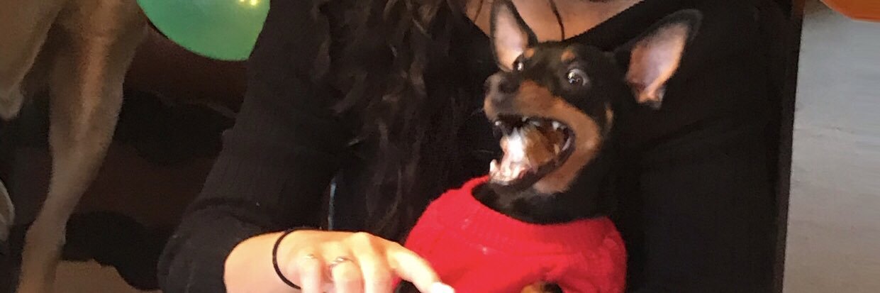 AshleyIncarnati's profile banner image