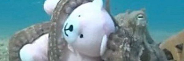 themkoffline Profile Banner