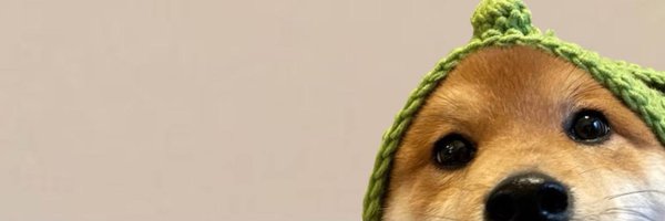 Loucoincto Profile Banner