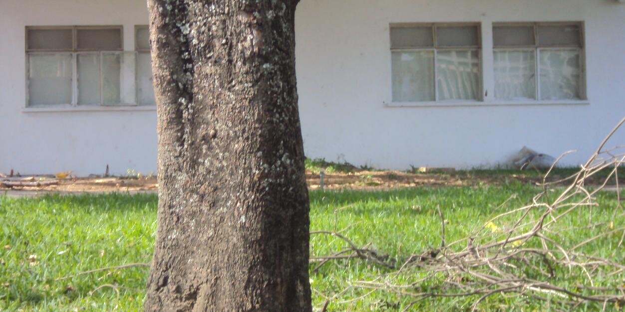 JuanaValjuana's profile banner image