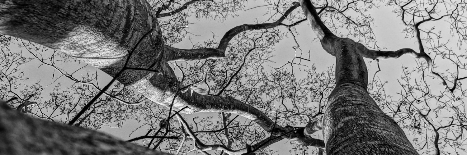 juniorlsouza's profile banner image