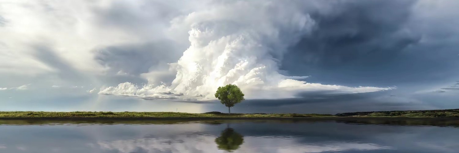 1jnARTMu3W9516's profile banner image