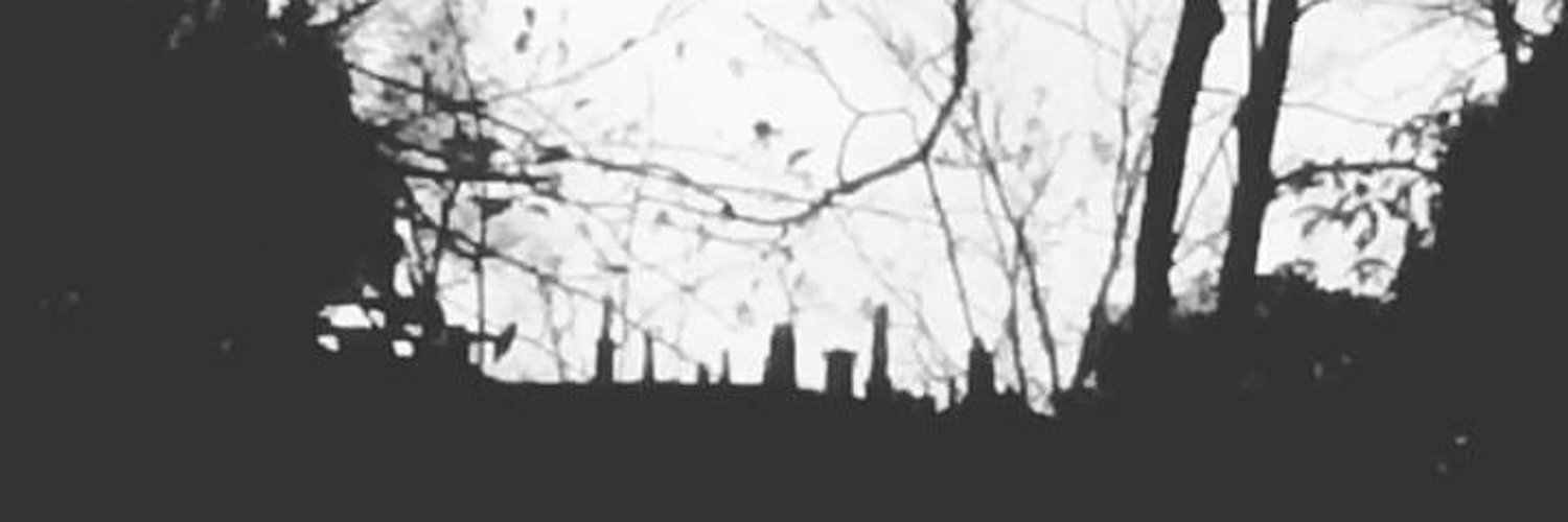d_eorzea's profile banner image