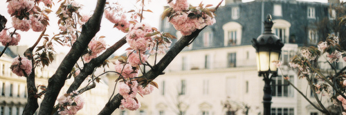 MariaCarlajm's profile banner image