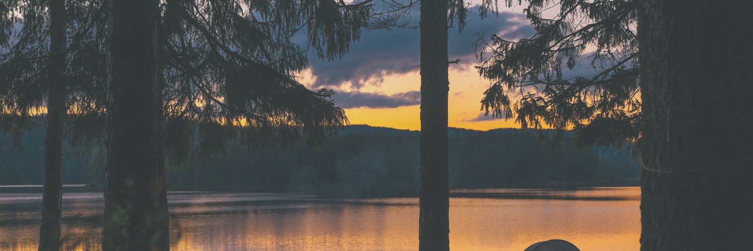 SandraWatREMAX's profile banner image