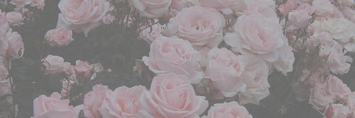DestinyE420's profile banner image