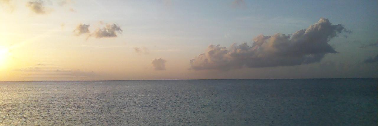 tedfarino's profile banner image
