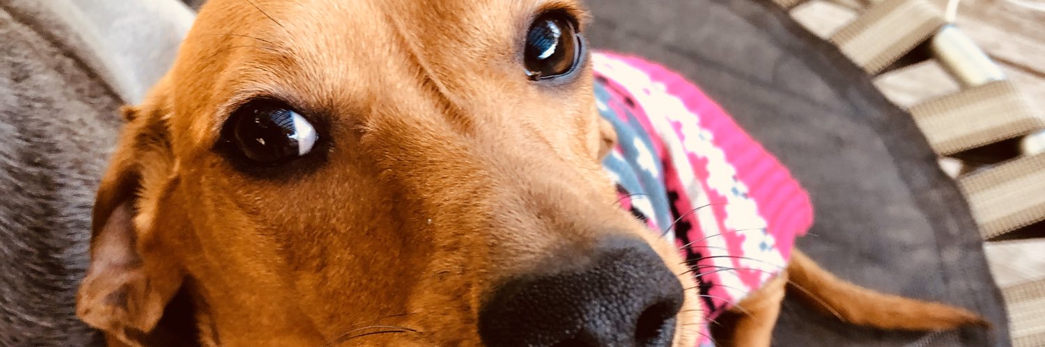 babs banner