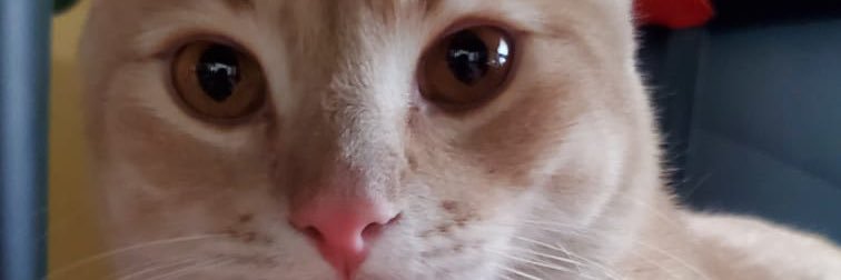CharlyReset's profile banner image