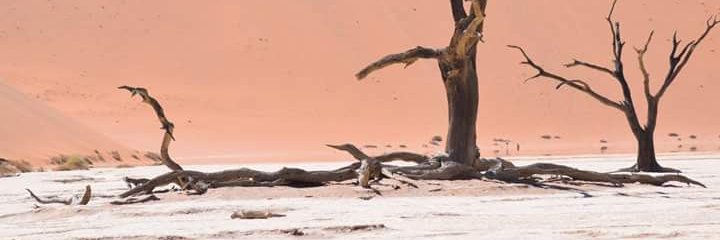 Half Woman Half Mince Pie banner