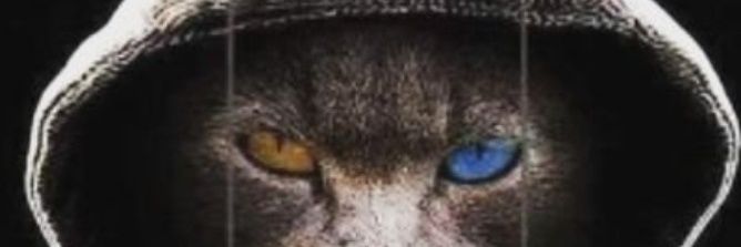 off_the_recorde's profile banner image