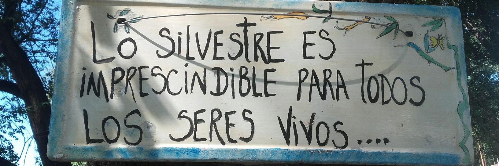 Sole 🇦🇷⭐⭐⭐ banner