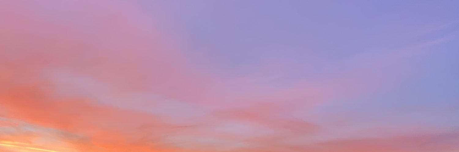 _ellaadam's profile banner image