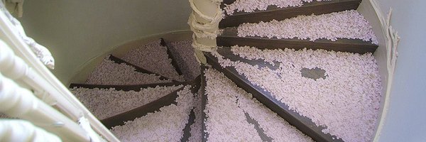 cakettes Profile Banner