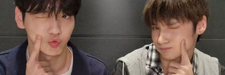vale banner