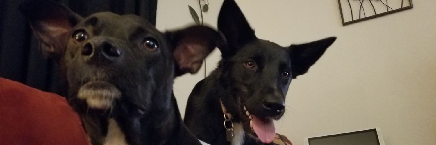 jcub123's profile banner image