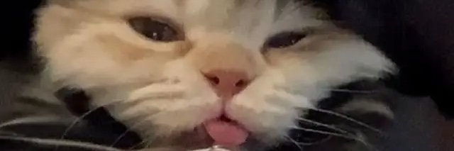 phim57685819744's profile banner image