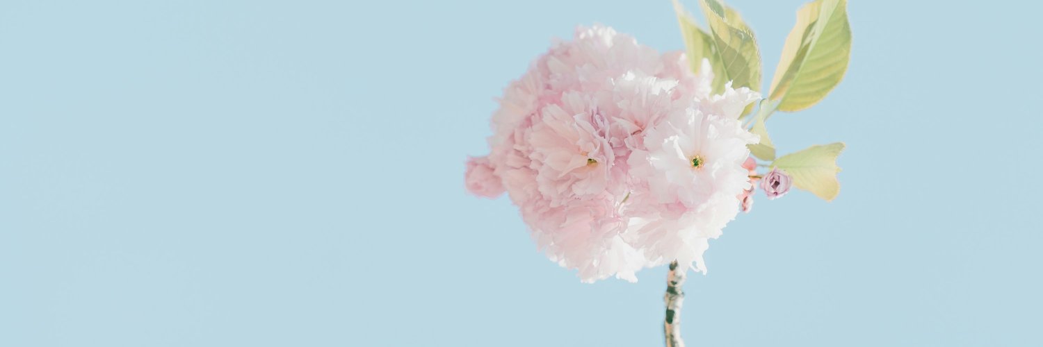 arierose banner