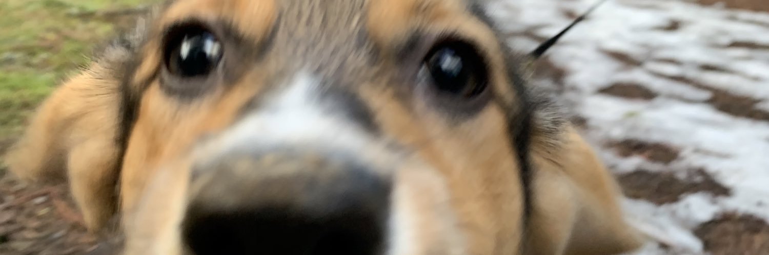 taylar838's profile banner image