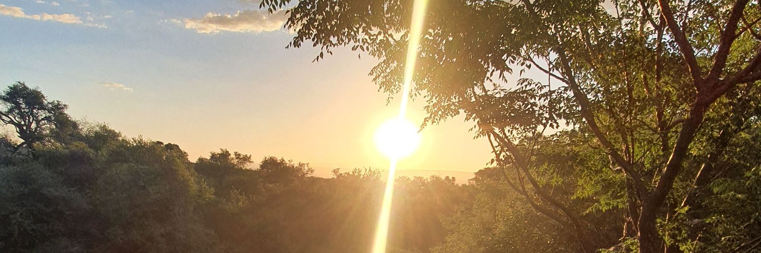 Rapa222's profile banner image