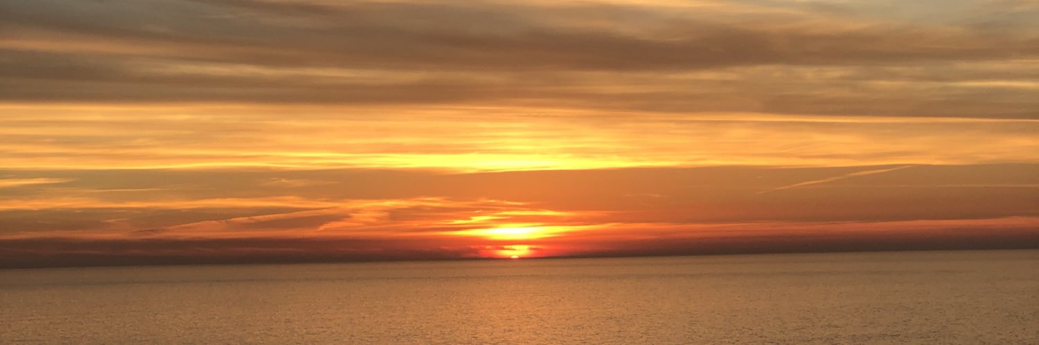 tinarinalemon's profile banner image