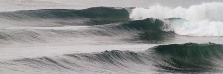 Yunk banner