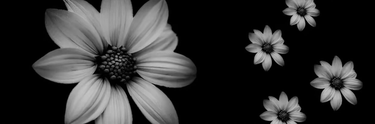 𝑒𝑠𝑟𝑎𝑚 banner