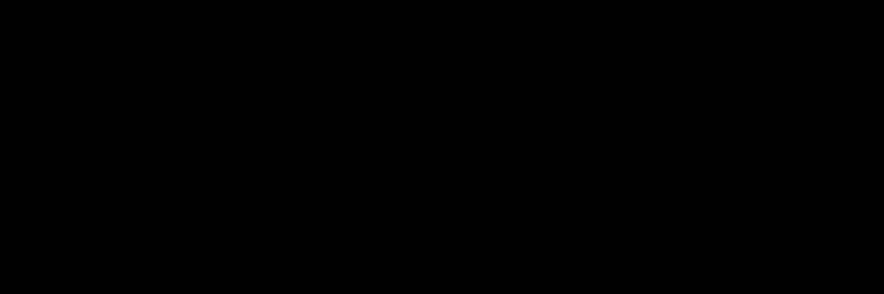 s banner
