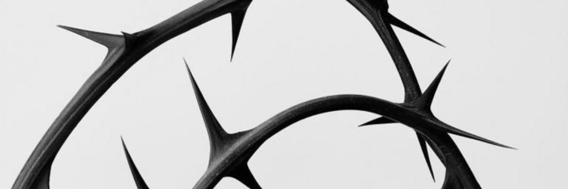 zedonmotor's profile banner image