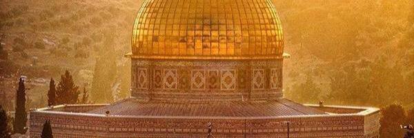 orwa's profile banner image