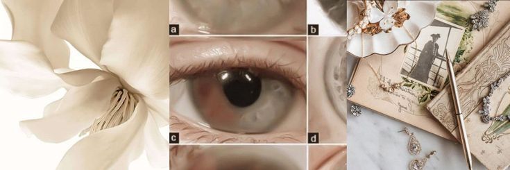 ⊹ ִ ۫ 𝑆𝑎𝑛𝑑𝑟𝑖𝑒𝑛𝑎 • banner