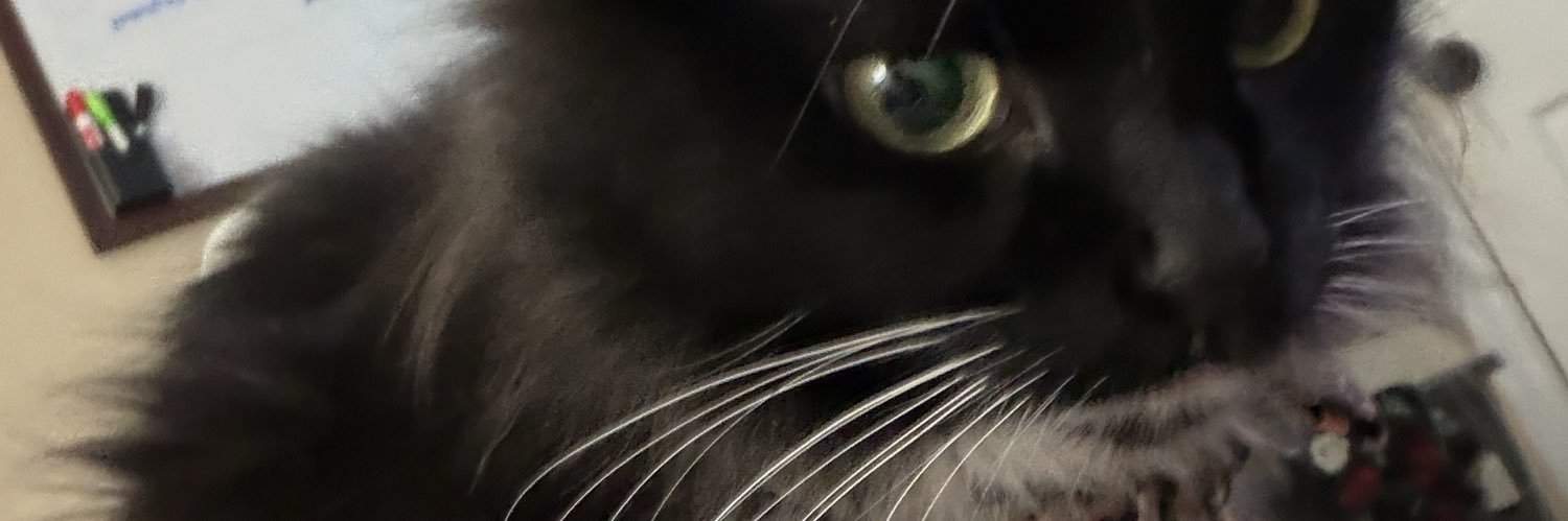 05mommaboa banner