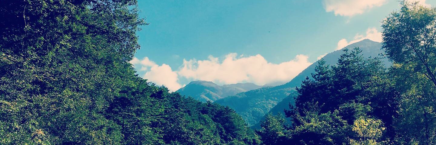 shituwo's profile banner image