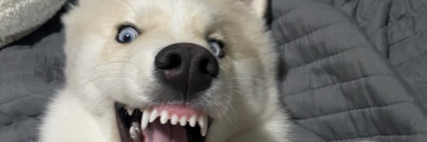 marijx's profile banner image