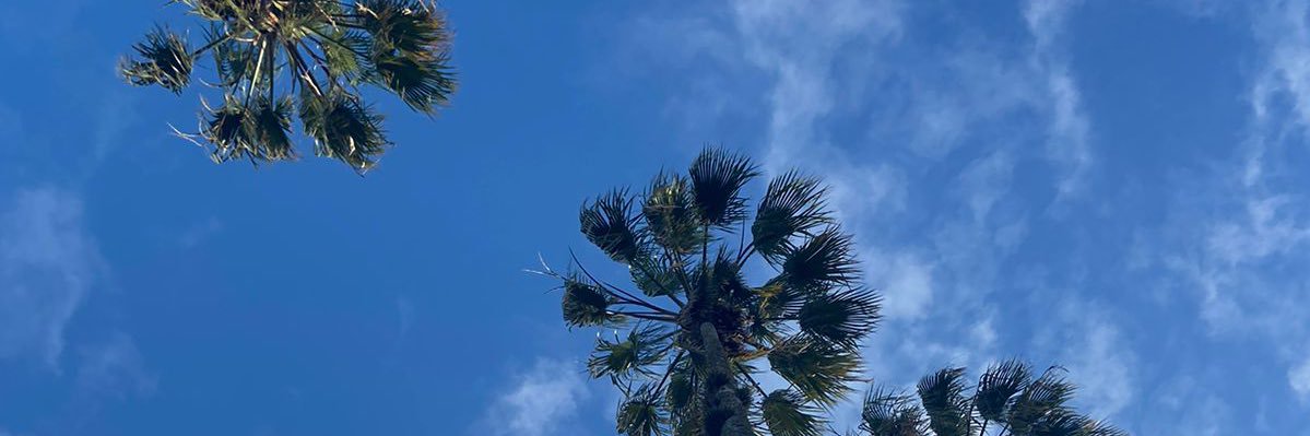 lrieger_'s profile banner image