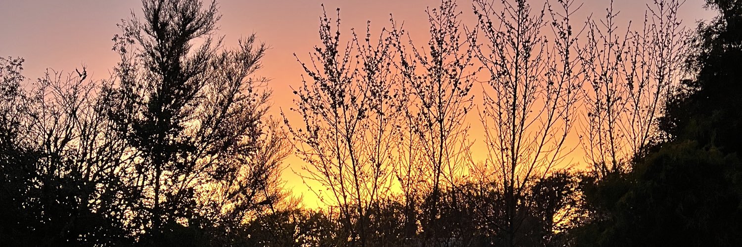 jrollin78's profile banner image