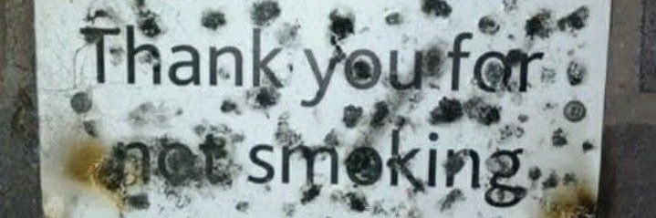 bailey #shedtwt banner