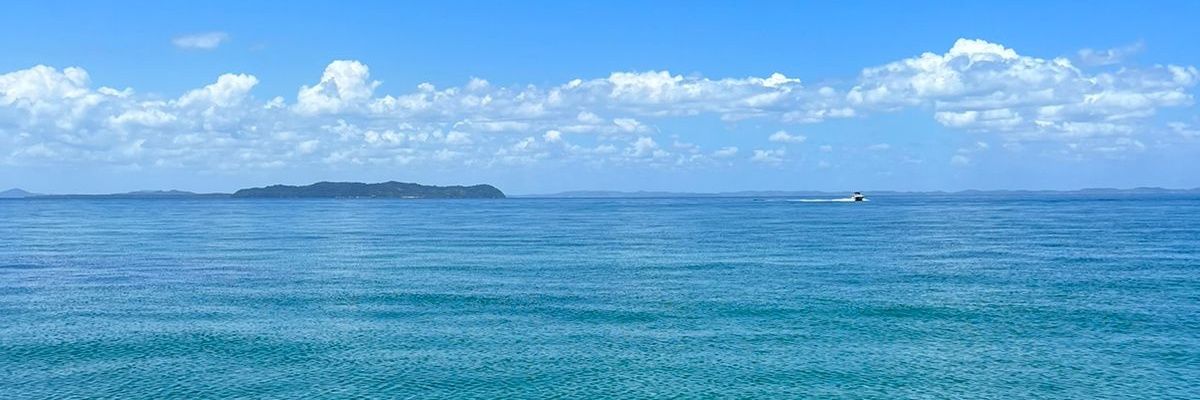 clararodrigues's profile banner image