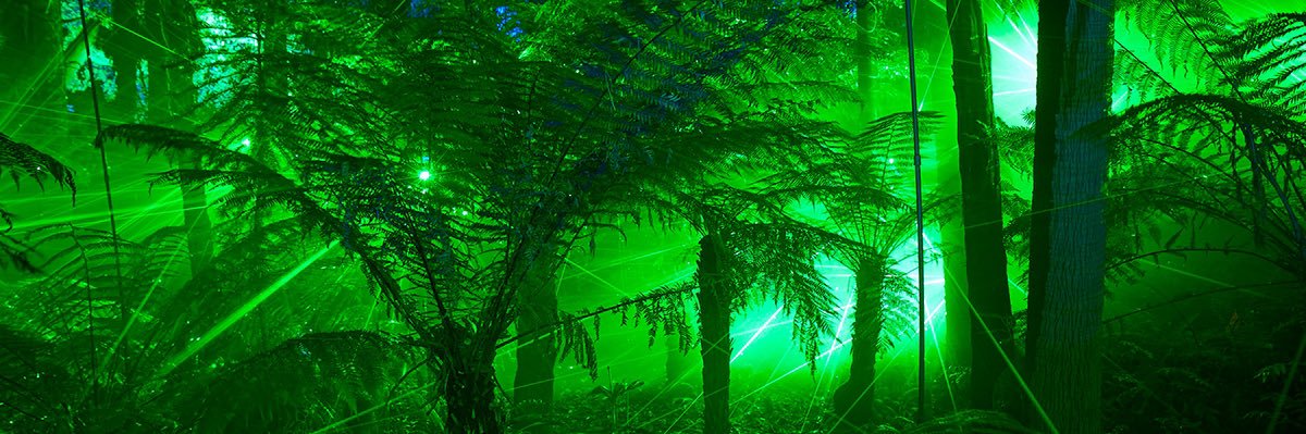 rylie🌱 banner