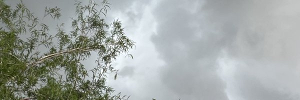 rottedrealms Profile Banner