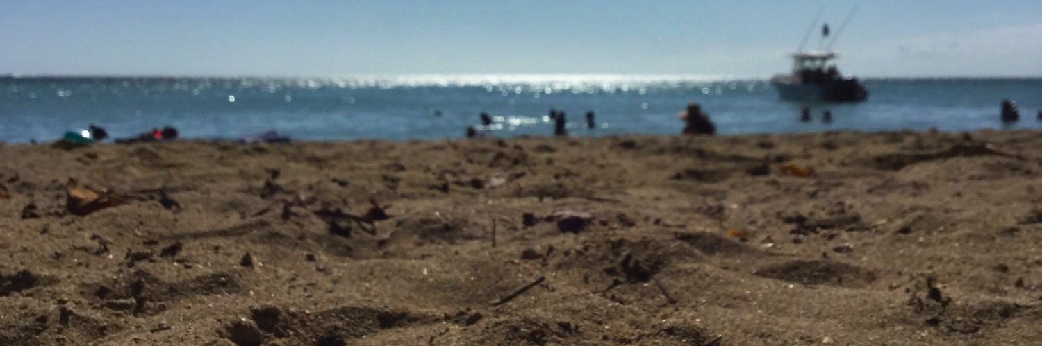 mvriliz's profile banner image