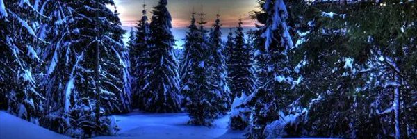 kell_60 Profile Banner