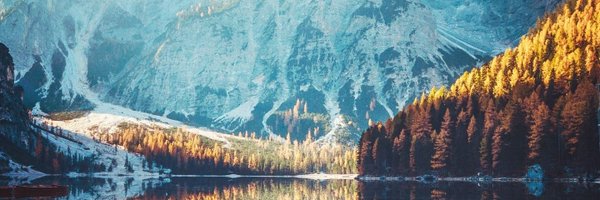 formergrey Profile Banner