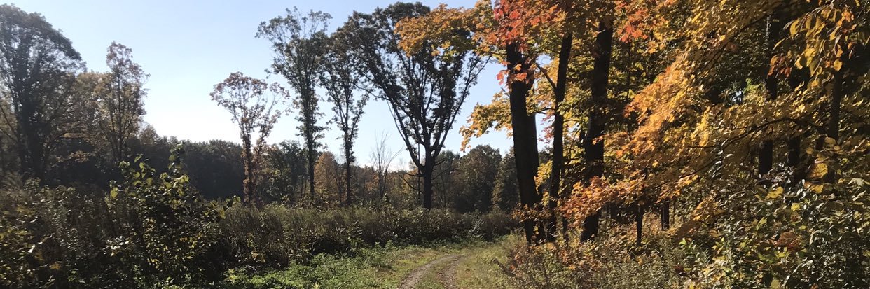 philmcfill's profile banner image