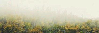 yrdyy's profile banner image