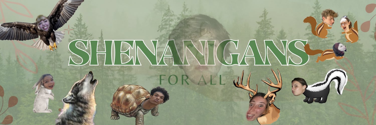 Shenanigansssss's profile banner image